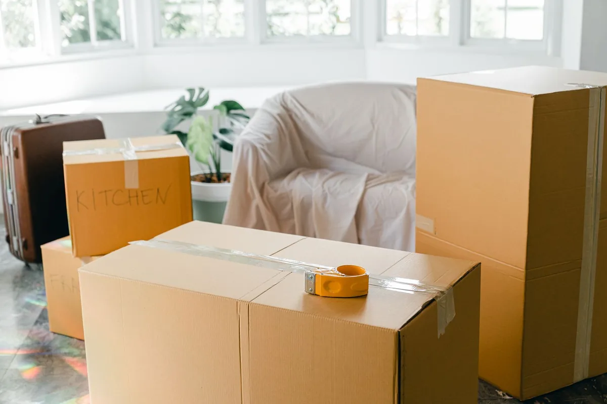 Hoarding Cleanup in Meadowbrook, Seattle, WA